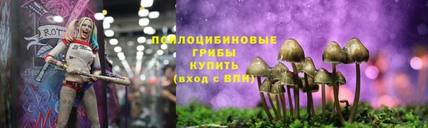 соль курить ск Алексин