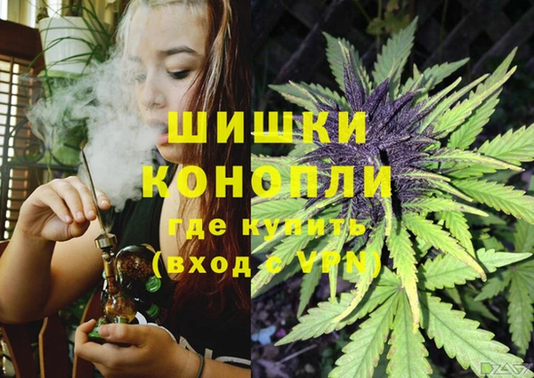 spice Алзамай