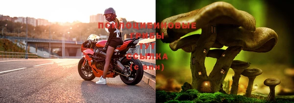 a pvp Абинск