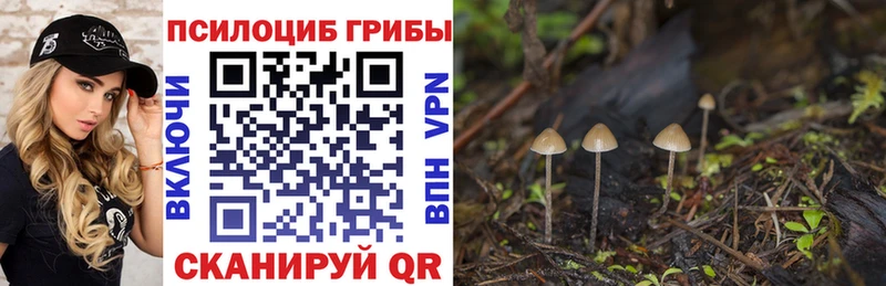 как найти наркотики Петровск Псилоцибиновые грибы мухоморы