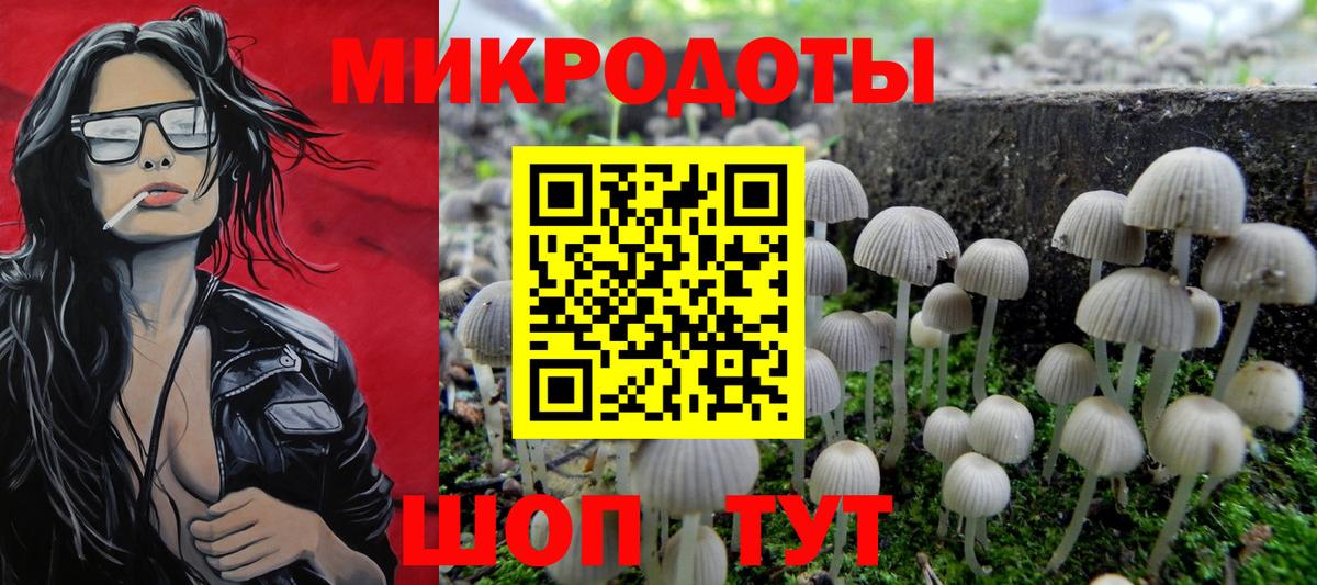 Псилоцибиновые грибы Psilocybine cubensis Петровск