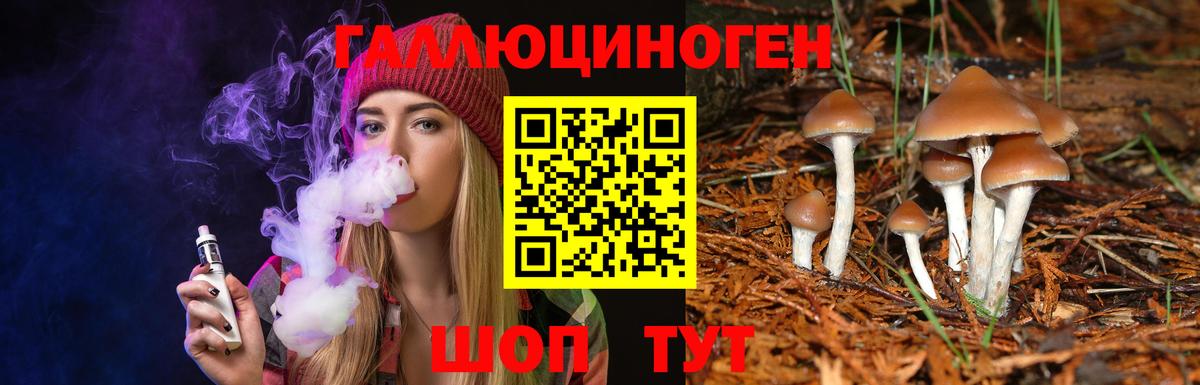 Псилоцибиновые грибы Cubensis  Вход с VPN  хочу наркоту  Псилоцибиновые грибы мухоморы  Петровск 