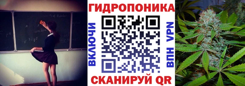 Бошки марихуана конопля Петровск